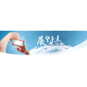 榮譽(yù)證書(shū)四